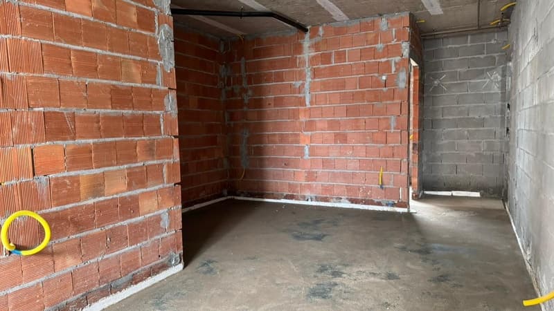 Col 04 -12° Tipo (JAN - 26)